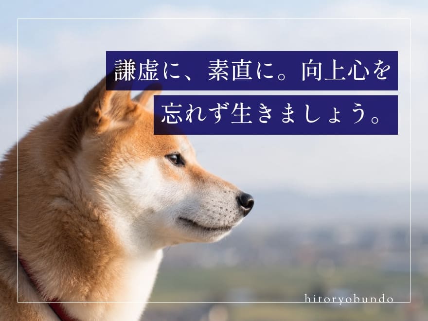 謙虚に、素直に。向上心を忘れず生きましょう。